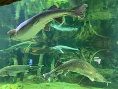 -华夏文旅海洋公园