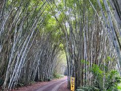 -海南热带野生动植物园