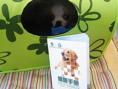 -瑞派·关忠动物医院(国瑞店)