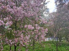 -长春市南湖公园