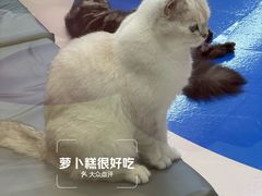 -PO PARK东方宝泰