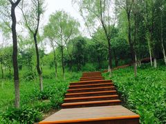 -长春世界雕塑园冰雪艺术天地