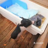 温馨甜蜜的农场体验[胜利]