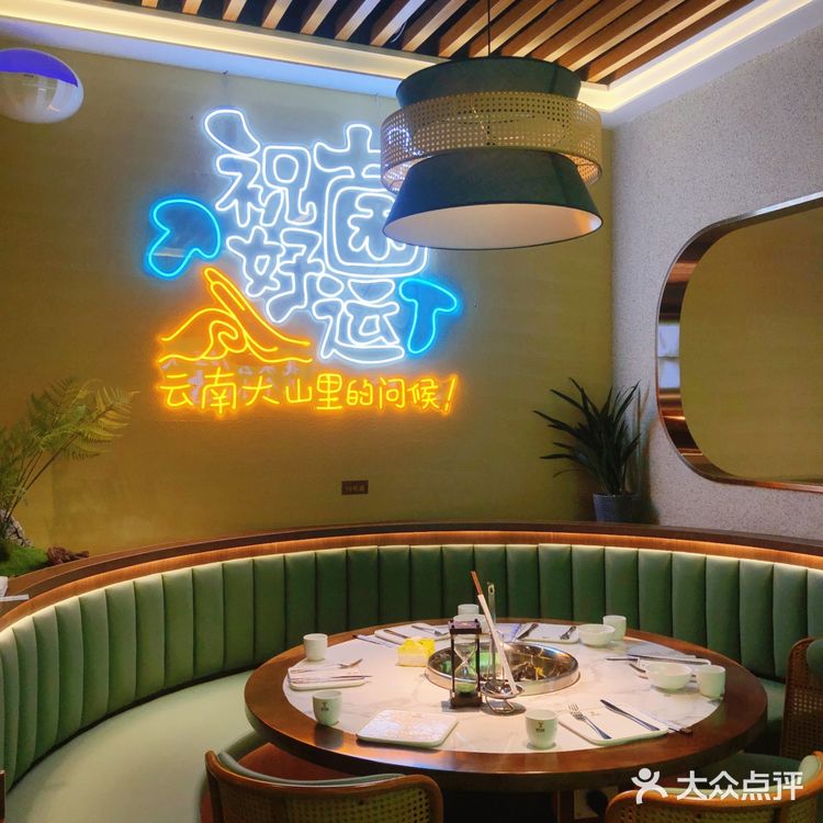 《去有风的地方》同款菌子宴，菌汤喝出颅内高潮