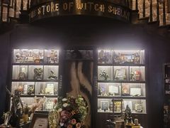 -雪灵魔法世界SHELLY’S TAROT(大良桂畔里店)