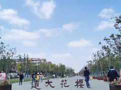 -上海海事大学(临港校区)