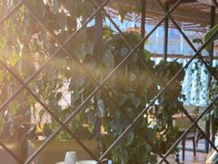 -盐帮食坊•小河帮川菜(四川师大店)