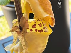 -云溪植物园