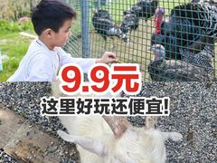 -前小桔亲子创意农场·草莓采摘·露营烧烤