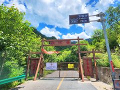 -陕西省红河谷森林公园