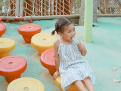 -合肥滨湖国家森林公园