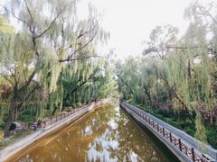 -迎泽公园