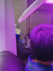 -碧莲盛·不剃发植发