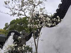 -豫园