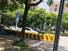 -陈家山荷花公园