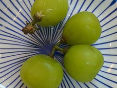 -眉州东坡(亚运村店)
