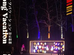 -枫花园汽车电影院(朝阳公园店)