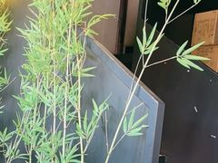 -茉沏(山塘街店)