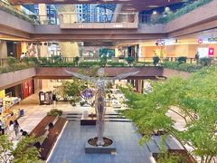 -瑞虹新天地月亮湾