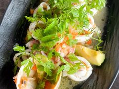 -Hi City·城市之巅