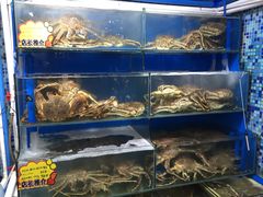 -蚝专家(北滘店)
