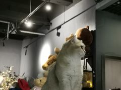 -咖法森林·咖啡  酒吧(天河店)