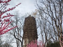 -玲珑塔公园