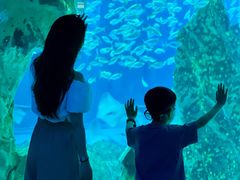 -海合安成都极地海洋公园