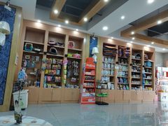 -瑞派名望志远动物医院·猫科·內科·异宠专科(直港大道店)