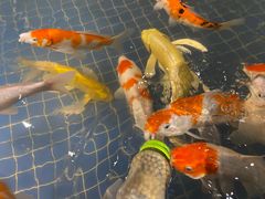 -昆明大悦城未来动物城(螺蛳湾中心店)