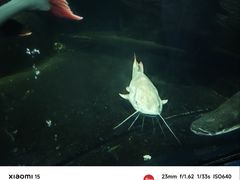 -泉州海丝野生动物世界