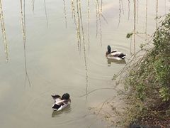 -上海怡沁园度假酒店