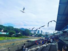 -深圳野生动物园