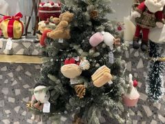 -夏佐CHASEL(横店康庄路店)