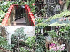 -正佳雨林生态植物园