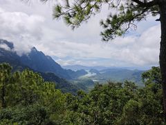 -海南霸王岭国家森林公园