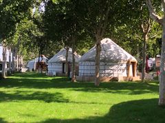 -九十九顶毡房(阜石路店)