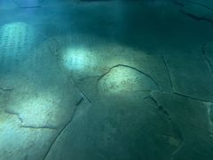 -白鹤梁水下博物馆