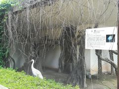 -南昌动物园