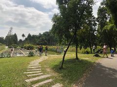 -华南国家植物园-售票处