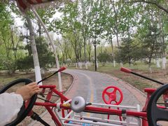 -永定河休闲森林公园