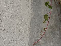 -皇城根茶馆(兴隆都市馨园店)