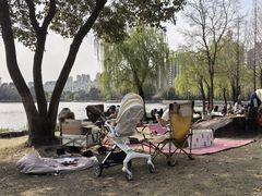-南翔镇银翔湖公园