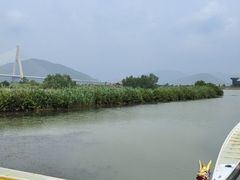 -芒洲湿地公园