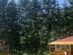 -老虎沟生态农场