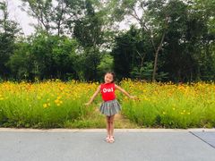 -盘龙城国家考古遗址公园