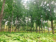 -中关村生命科学园