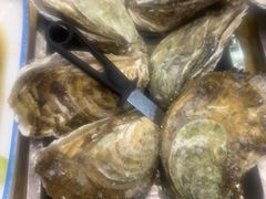 -蠔门宴海鲜城·阳江特色菜