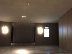 -武商摩尔影城(国广IMAX激光店)