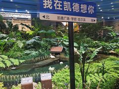 -凯德广场(学府店)